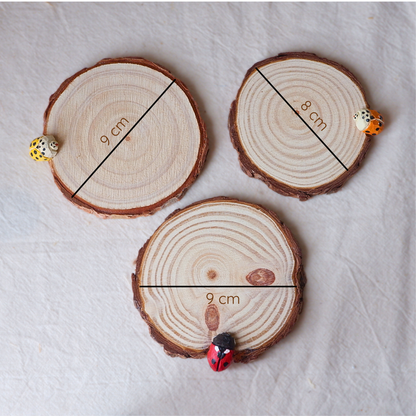 Hand-carved wooden ladybird coasters in red, orange and yellow by anornament