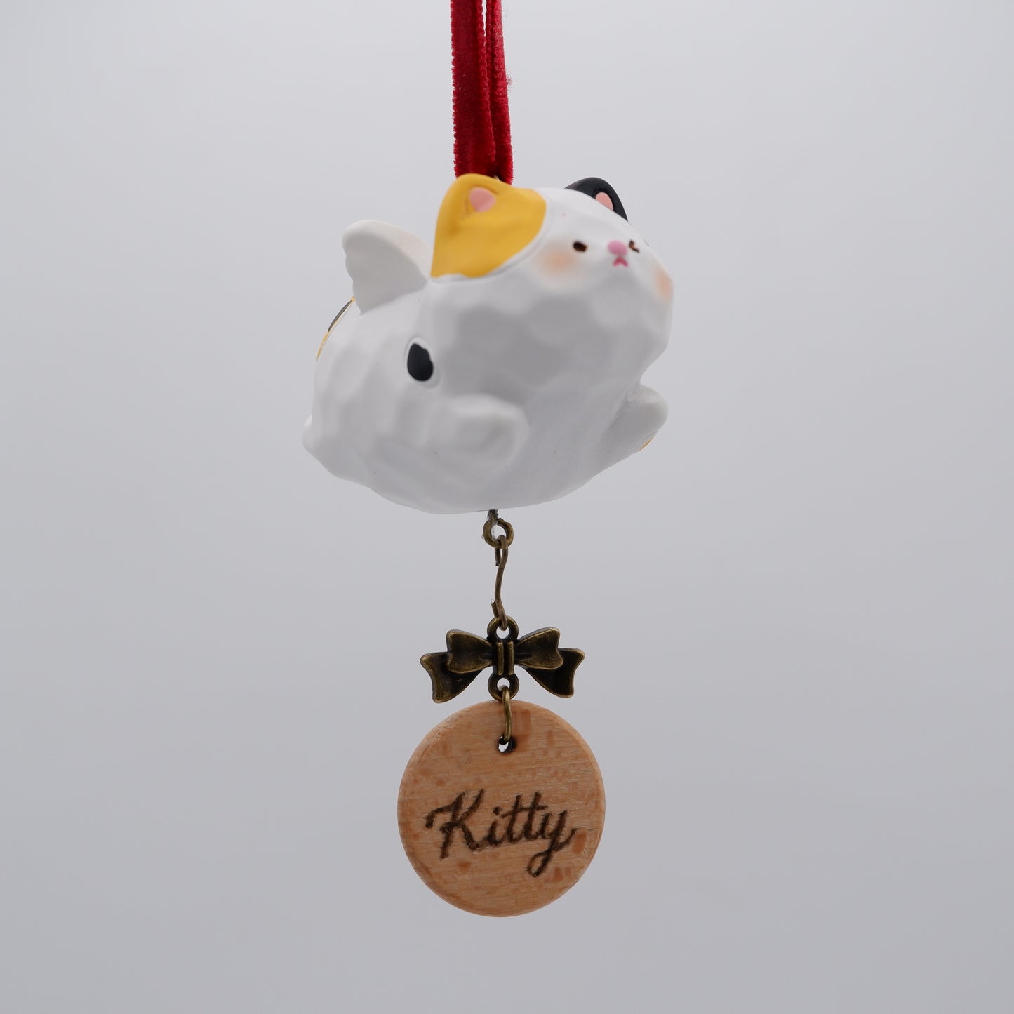 The Cloud Rider - Resin Ornament with Personalised Wooden Name Tag