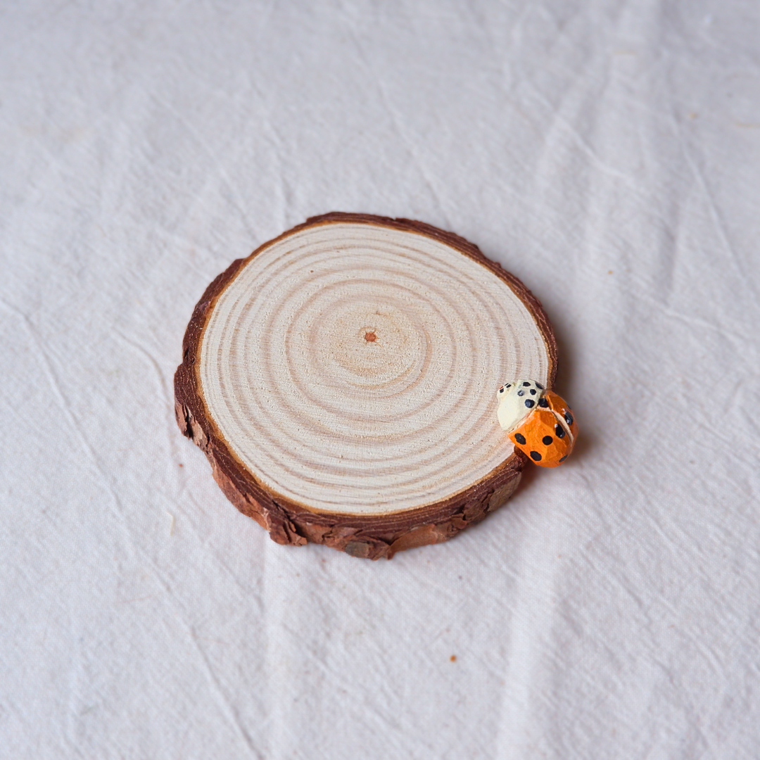 Orange ladybird wooden drink coaster, handmade from linden and pinewood