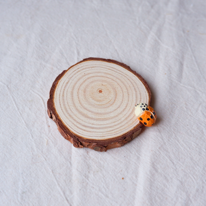 Orange ladybird wooden drink coaster, handmade from linden and pinewood
