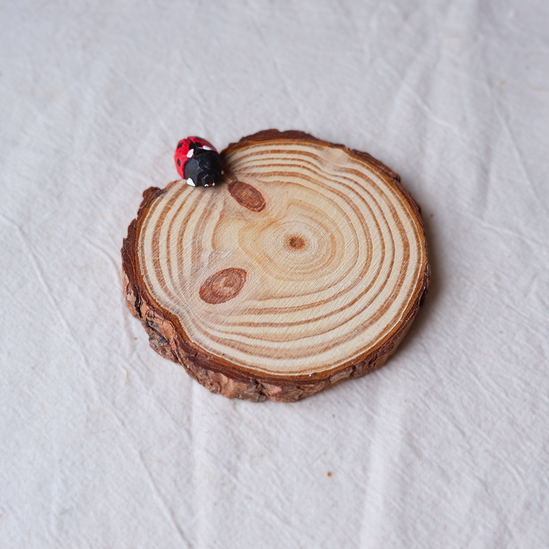 Red ladybird wooden coaster, hand-painted with black spots, anornament