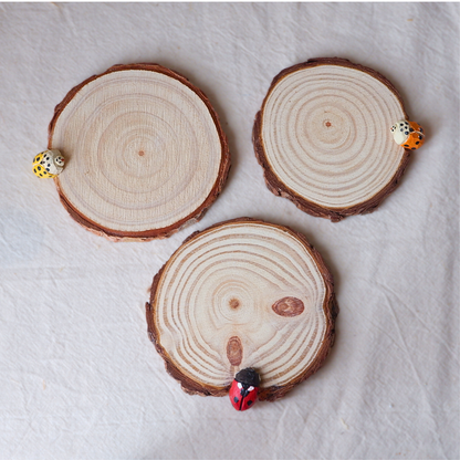 Hand-carved wooden ladybird coasters in red, orange and yellow by anornament