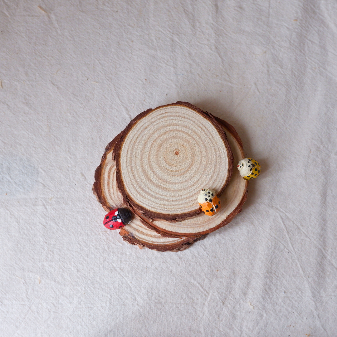 Hand-carved wooden ladybird coasters in red, orange and yellow by anornament