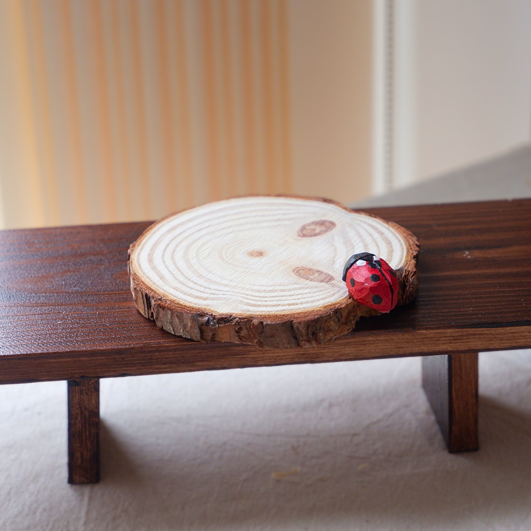Red ladybird wooden coaster, hand-painted with black spots, anornament