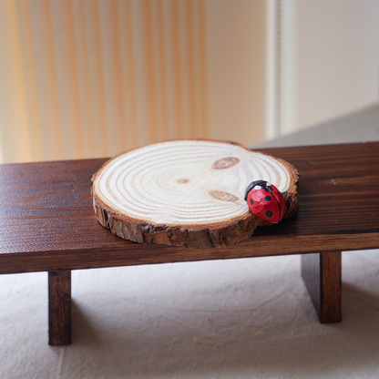 Red ladybird wooden coaster, hand-painted with black spots, anornament