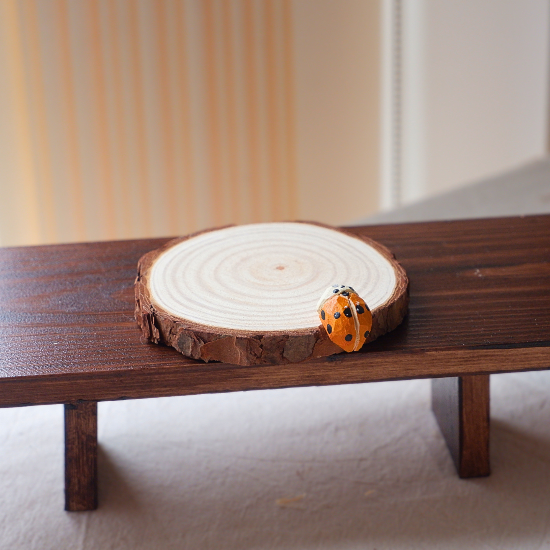 Orange ladybird wooden drink coaster, handmade from linden and pinewood