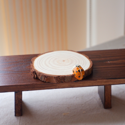 Orange ladybird wooden drink coaster, handmade from linden and pinewood