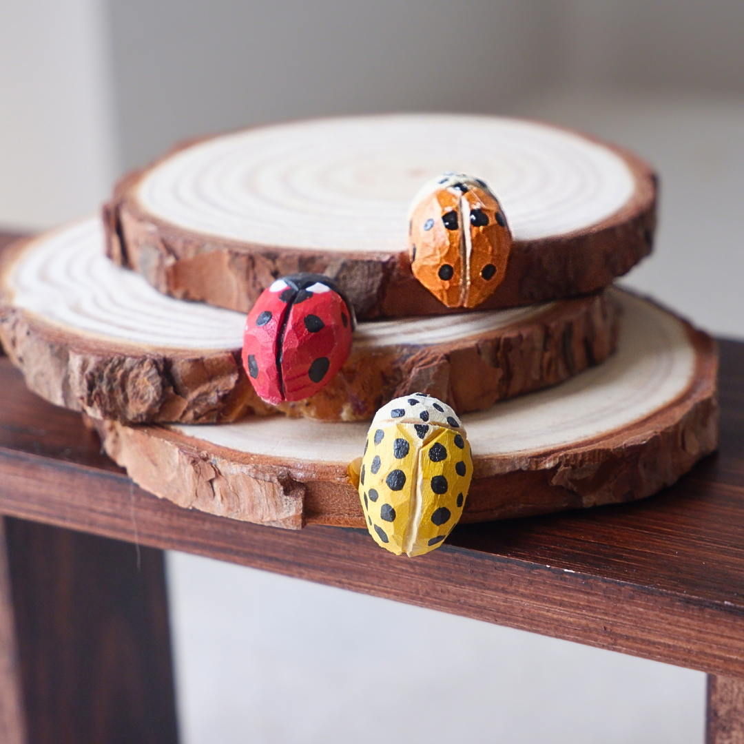 Hand-carved wooden ladybird coasters in red, orange and yellow by anornament